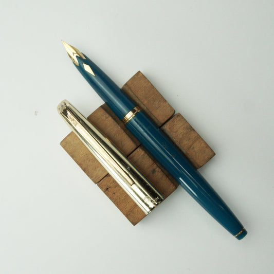 PLATINUM P250 TURQUOISE FOUNTAIN PEN (YEAR)