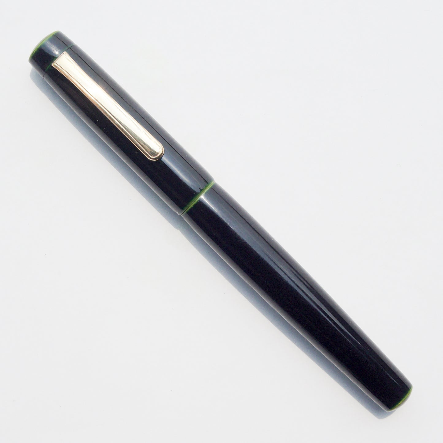 NAKAYA NEO STANDARD MIDORI TAMENURI FOUNTAIN PEN