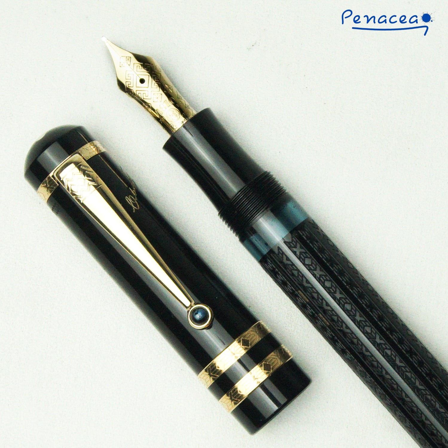 MONTBLANC WRITER S EDITION FYODOR DOSTOEVSKY LIMITED EDITION FOUNTAIN Penacea