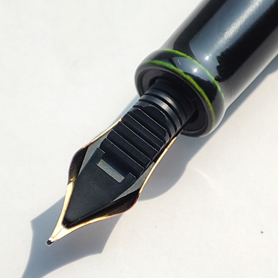 NAKAYA NEO STANDARD MIDORI TAMENURI FOUNTAIN PEN