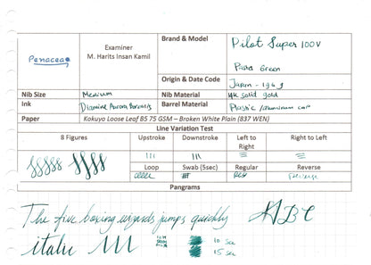 PILOT 100V PASTEL GREEN FOUNTAIN PEN (1961)