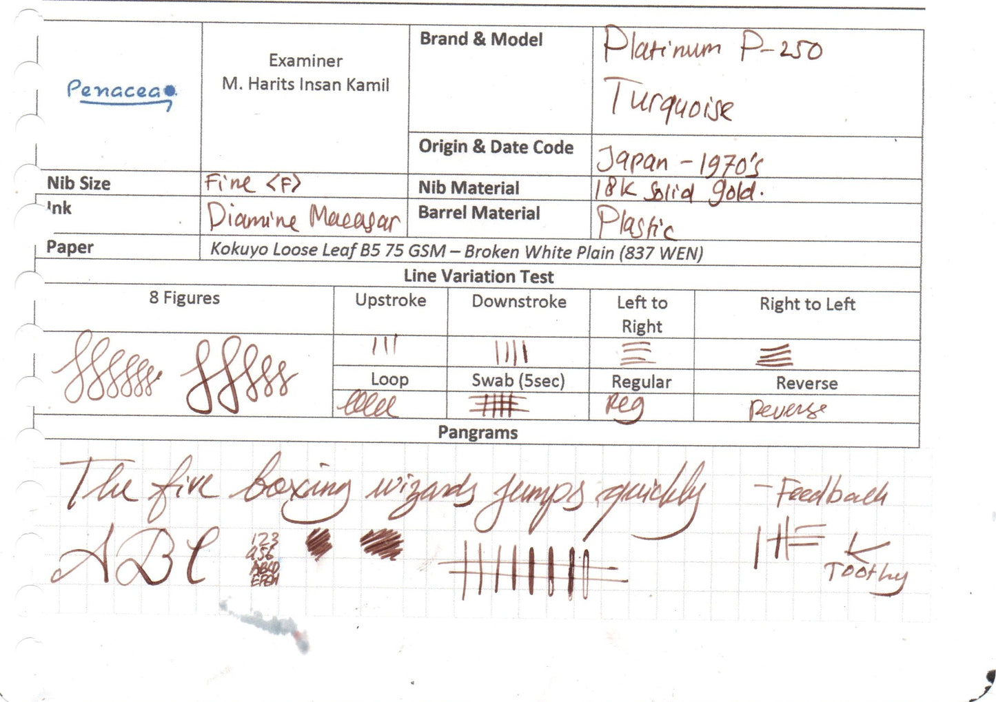 PLATINUM P250 TURQUOISE FOUNTAIN PEN (YEAR)