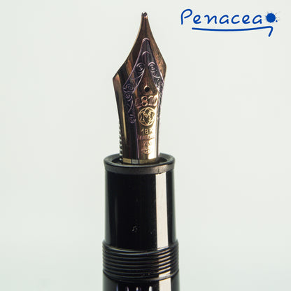 MONTBLANC MEISTERSTUCK 149 FOUNTAIN PEN (2007)