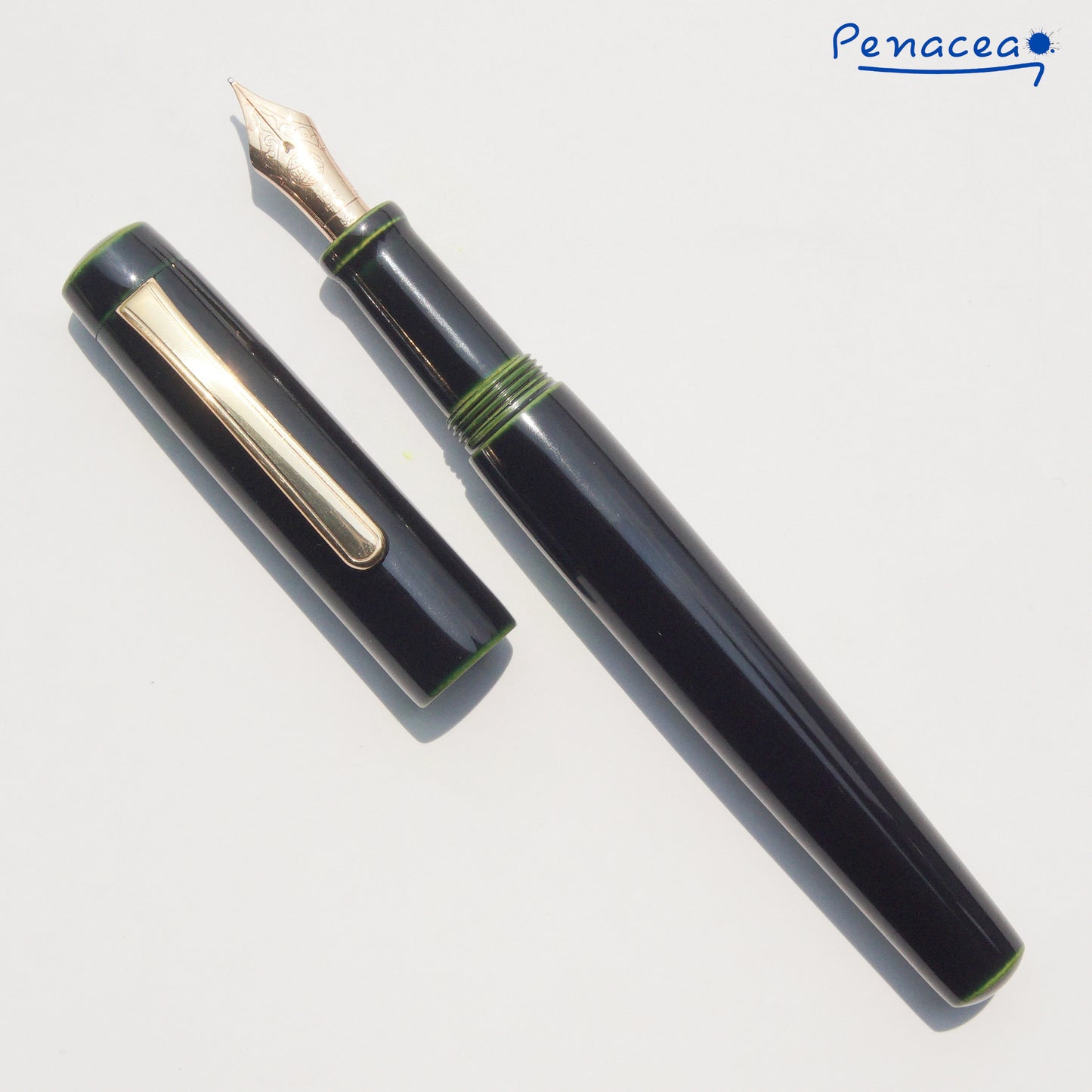 NAKAYA NEO STANDARD MIDORI TAMENURI FOUNTAIN PEN