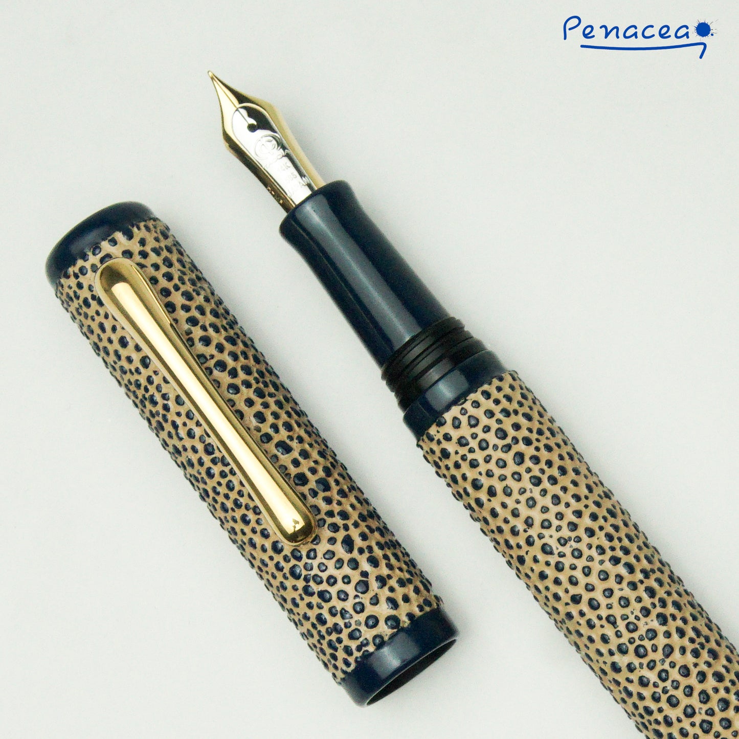 TACCIA NATURAL RESERVE THE AQUATIC LIMITED EDITION SAPPHIRE RIVER FOUNTAIN PEN