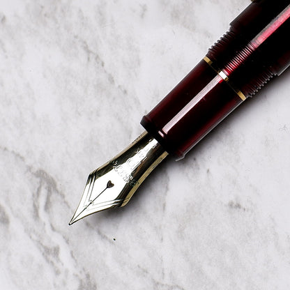 PLATINUM 3776 CENTURY BOURGOUGNE FOUNTAIN PEN (2020)