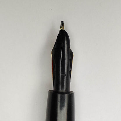 PARKER LUCKY CURVE NO.16 FILIGREE EYEDROPPER FOUNTAIN PEN (1914)